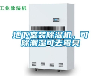 企業(yè)新聞地下室裝除濕機，可除潮濕可去霉臭