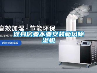 行業(yè)新聞健身房要不要安裝新風(fēng)除濕機
