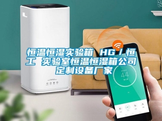 知識百科恒溫恒濕實(shí)驗(yàn)箱 HG／恒工 實(shí)驗(yàn)室恒溫恒濕箱公司 定制設(shè)備廠家