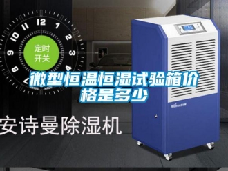 知識(shí)百科微型恒溫恒濕試驗(yàn)箱價(jià)格是多少