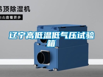 常見問題遼寧高低溫低氣壓試驗(yàn)箱