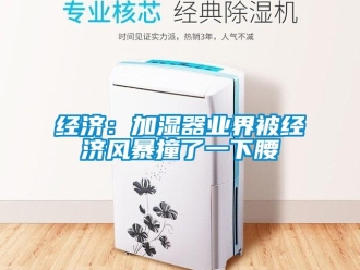 行業(yè)新聞經(jīng)濟(jì)：加濕器業(yè)界被經(jīng)濟(jì)風(fēng)暴撞了一下腰