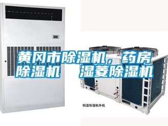 行業(yè)新聞黃岡市除濕機(jī)，藥房除濕機(jī)  濕菱除濕機(jī)