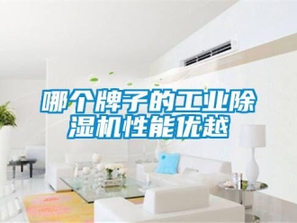 常見問題哪個(gè)牌子的工業(yè)除濕機(jī)性能優(yōu)越