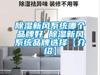 行業(yè)新聞除濕新風(fēng)系統(tǒng)哪個品牌好 除濕新風(fēng)系統(tǒng)品牌選擇【介紹】