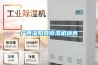 廣西灌陽縣除濕機(jī)銷售