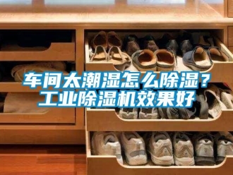 常見問題車間太潮濕怎么除濕？工業(yè)除濕機效果好
