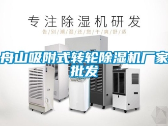 企業(yè)新聞舟山吸附式轉(zhuǎn)輪除濕機廠家批發(fā)