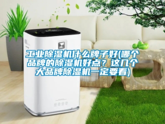 常見問題工業(yè)除濕機什么牌子好(哪個品牌的除濕機好點？這幾個大品牌除濕機一定要看)