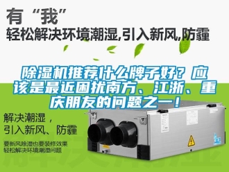 行業(yè)新聞除濕機(jī)推薦什么牌子好？應(yīng)該是最近困擾南方、江浙、重慶朋友的問(wèn)題之一！