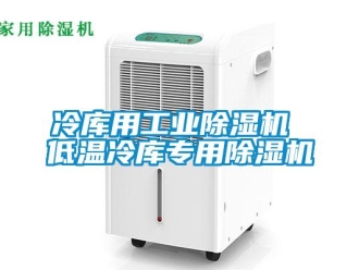 常見問題冷庫用工業(yè)除濕機(jī) 低溫冷庫專用除濕機(jī)