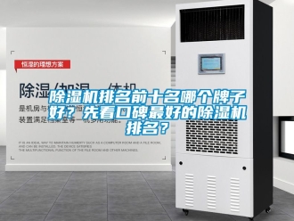 行業(yè)新聞除濕機排名前十名哪個牌子好？先看口碑最好的除濕機排名？