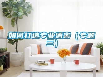 常見(jiàn)問(wèn)題如何打造專業(yè)酒窖（專題三）