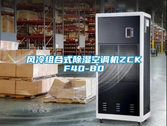 行業(yè)新聞風(fēng)冷組合式除濕空調(diào)機(jī)ZCKF40-80