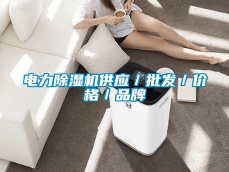 企業(yè)新聞電力除濕機供應(yīng)／批發(fā)／價格／品牌