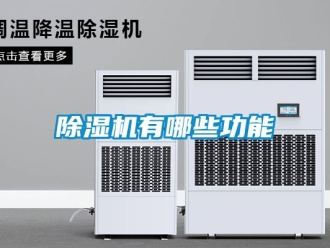 行業(yè)新聞除濕機有哪些功能