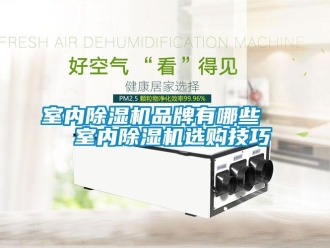 企業(yè)新聞室內(nèi)除濕機(jī)品牌有哪些   室內(nèi)除濕機(jī)選購技巧