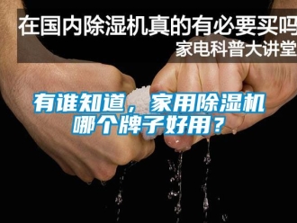 常見問題有誰知道，家用除濕機(jī)哪個牌子好用？