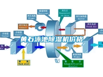 企業(yè)新聞黃石泳池除濕機(jī)價格