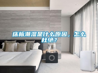 常見問題床板潮濕是什么原因，怎么杜絕？