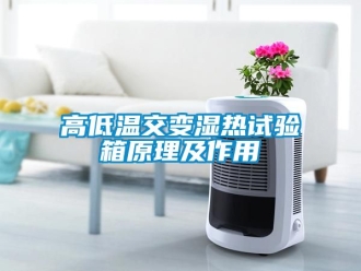 常見問題高低溫交變濕熱試驗(yàn)箱原理及作用