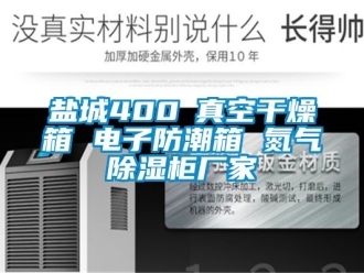 常見問題鹽城400℃真空干燥箱 電子防潮箱 氮氣除濕柜廠家