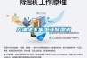 天津地下室工業(yè)除濕機(jī)