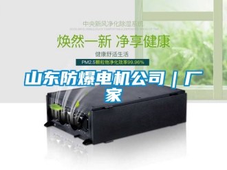 企業(yè)新聞山東防爆電機公司｜廠家