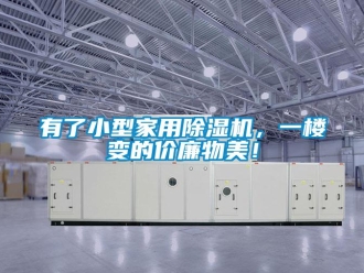 知識百科有了小型家用除濕機，一樓變的價廉物美！