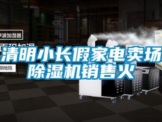 行業(yè)新聞清明小長假家電賣場除濕機(jī)銷售火
