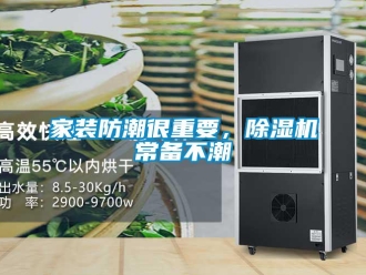 行業(yè)新聞家裝防潮很重要，除濕機(jī)常備不潮