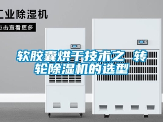 行業(yè)新聞軟膠囊烘干技術(shù)之 轉(zhuǎn)輪除濕機(jī)的選型