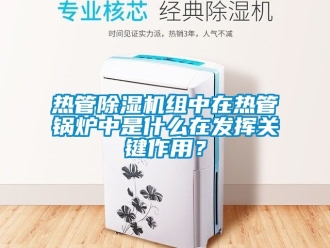 行業(yè)新聞熱管除濕機組中在熱管鍋爐中是什么在發(fā)揮關(guān)鍵作用？