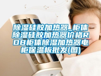 企業(yè)新聞除濕硅膠加熱器_柜體除濕硅膠加熱器價(jià)格RDB柜體除濕加熱器電柜保溫板批發(fā)(圖)
