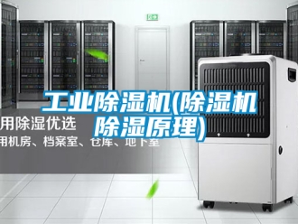 常見問題工業(yè)除濕機(除濕機除濕原理)