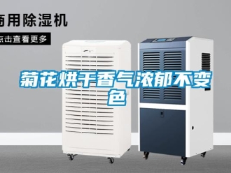 行業(yè)新聞菊花烘干香氣濃郁不變色