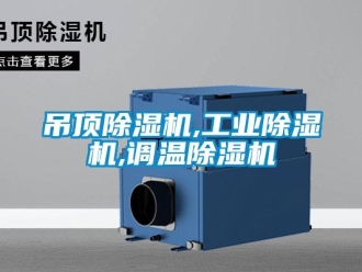 企業(yè)新聞吊頂除濕機(jī),工業(yè)除濕機(jī),調(diào)溫除濕機(jī)