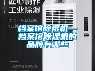 企業(yè)新聞檔案館除濕機(jī)—檔案館除濕機(jī)的品牌有哪些