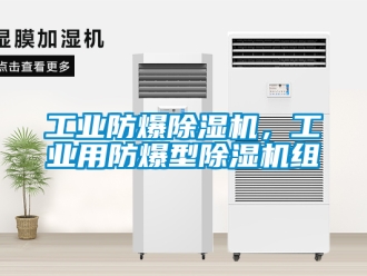 企業(yè)新聞工業(yè)防爆除濕機(jī)，工業(yè)用防爆型除濕機(jī)組
