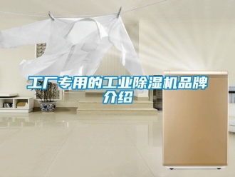 常見(jiàn)問(wèn)題工廠專(zhuān)用的工業(yè)除濕機(jī)品牌介紹