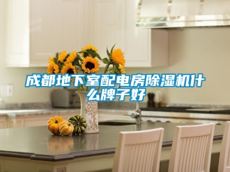 企業(yè)新聞成都地下室配電房除濕機(jī)什么牌子好