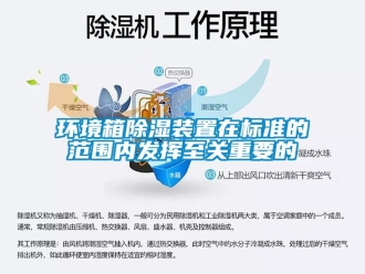 行業(yè)新聞環(huán)境箱除濕裝置在標準的范圍內(nèi)發(fā)揮至關(guān)重要的