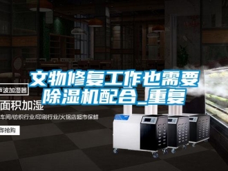 行業(yè)新聞文物修復(fù)工作也需要除濕機(jī)配合_重復(fù)