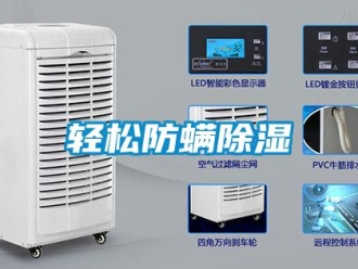 行業(yè)新聞輕松防螨除濕