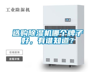 行業(yè)新聞選購除濕機(jī)哪個牌子好，有誰知道？
