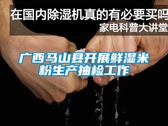 企業(yè)新聞廣西馬山縣開展鮮濕米粉生產(chǎn)抽檢工作