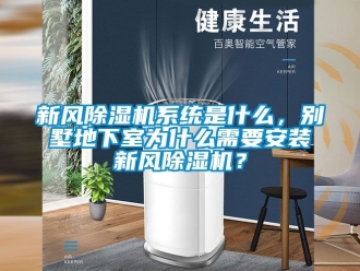 常見問題新風除濕機系統(tǒng)是什么，別墅地下室為什么需要安裝新風除濕機？