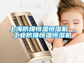 知識百科上海防爆恒溫恒濕機 ，工業(yè)防爆恒溫恒濕機