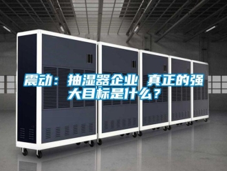 知識(shí)百科震動(dòng)：抽濕器企業(yè) 真正的強(qiáng)大目標(biāo)是什么？