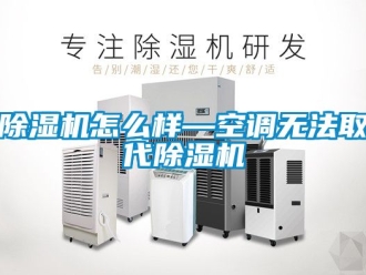 行業(yè)新聞除濕機怎么樣—空調(diào)無法取代除濕機